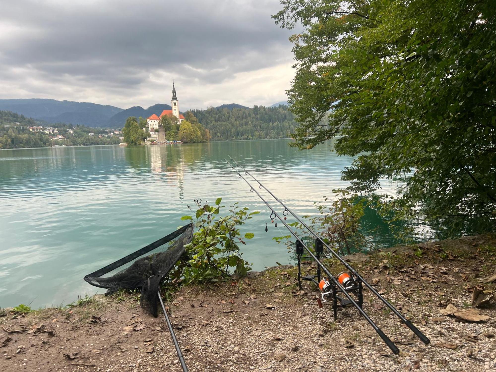 4 Elements Glamping & Apartments Bled Eksteriør bilde